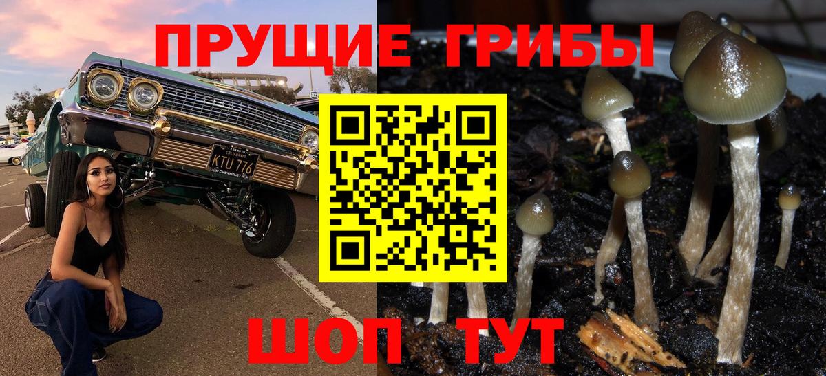 Галлюциногенные грибы GOLDEN TEACHER Балашов