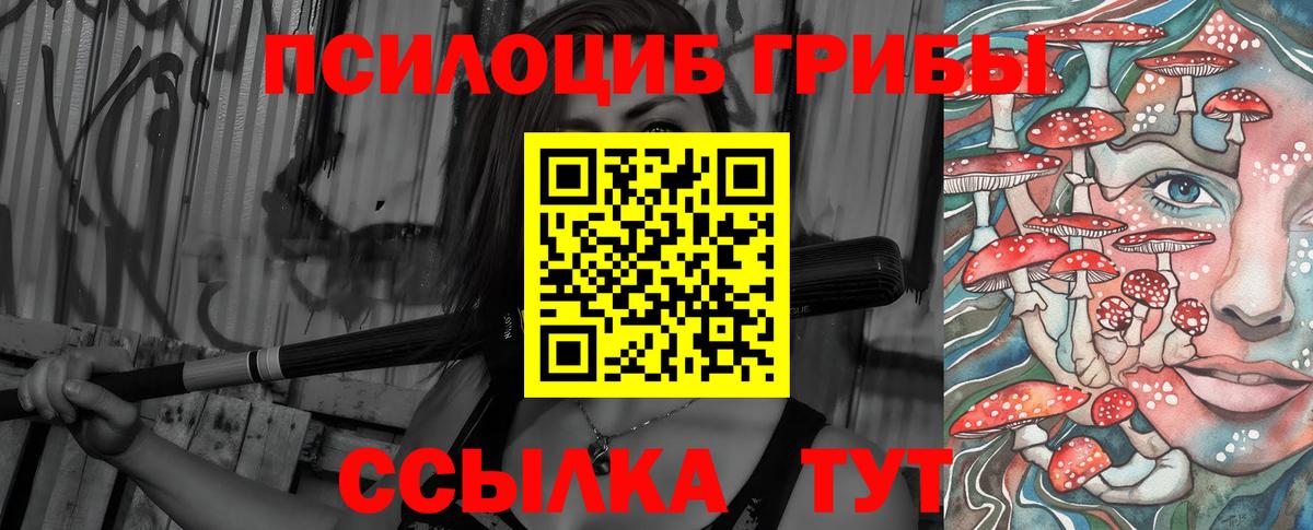 Псилоцибиновые грибы Psilocybine cubensis  Вход с VPN  Псилоцибиновые грибы мухоморы  где продают наркотики  Балашов 